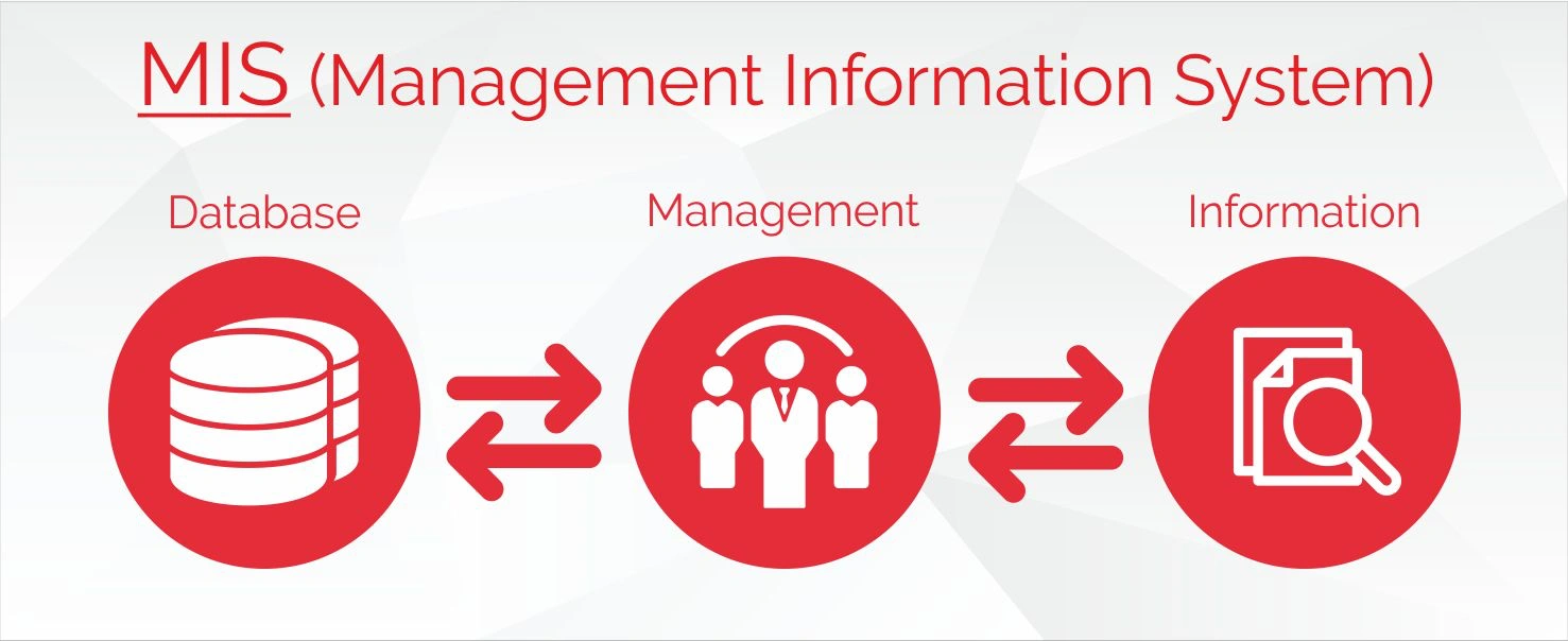 Yönetim Bilişim Sistemleri (Management Information Systems) Nedir?