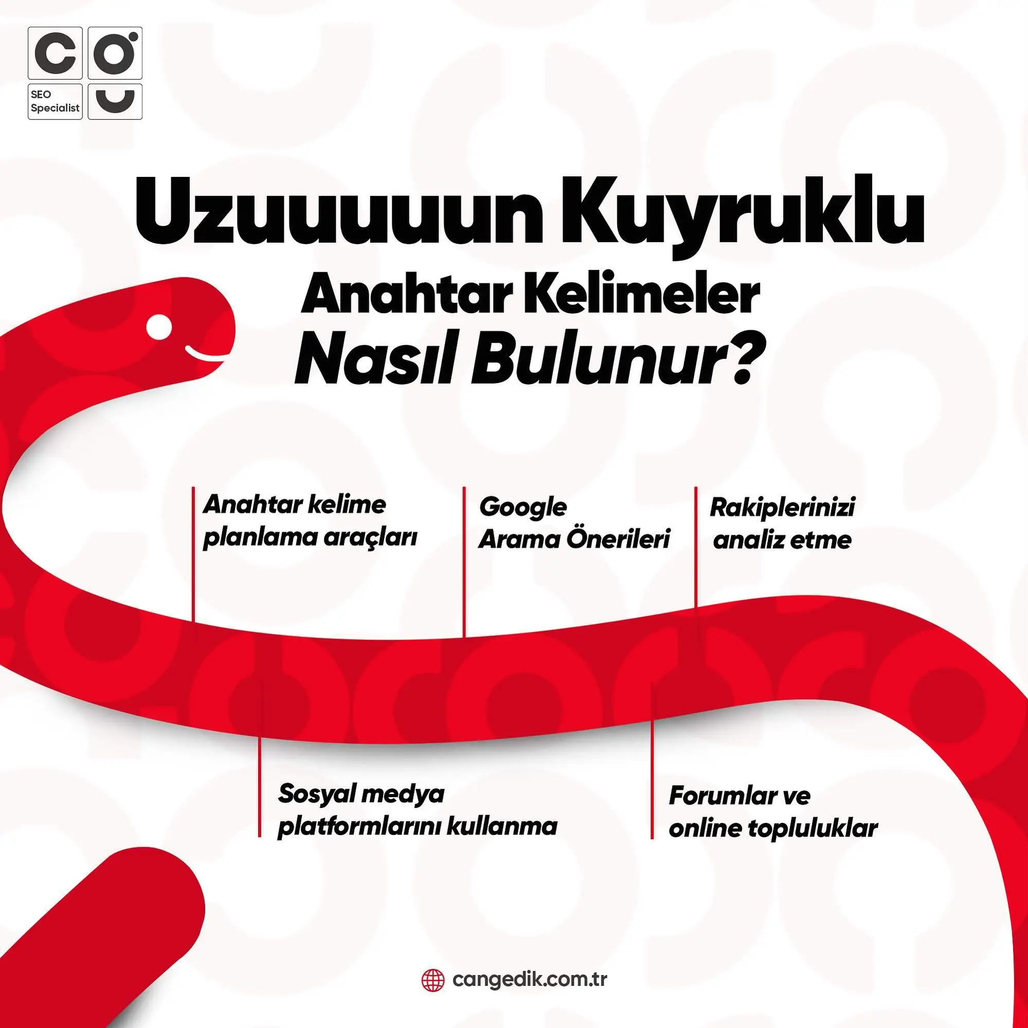 Uzun kuyruklu anahtar kelimeler